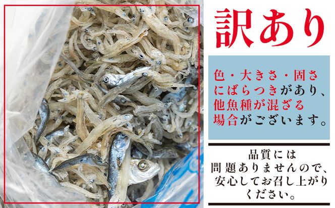 【冷蔵】訳あり 上乾ちりめん 約500g - 国産 ちりめん しらす シラス 稚魚 魚介 魚 海産物 天日干し 釜茹で ドロメ サラダ 和え物 アレンジ 料理 ご飯のお供 高知県 香南市 冷蔵 mu-0013