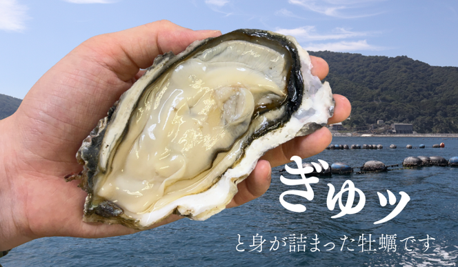 殻付き牡蠣 生食可 2.5kg 南三陸 宮城 女川 岩沼市