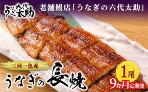 【9ヶ月定期便】老舗鰻店「うなぎの六代太助」 三河一色産 うなぎの長焼 1尾