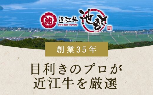 【4等級以上】【近江牛　ウデ】すき焼・しゃぶしゃぶ用【500ｇ】【BI02W】