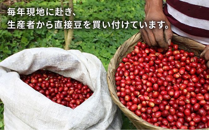【全3回定期便】コーヒー ドリップ バッグ 40個 セット ( 5種類 × 8個 ) 糸島市 / COFFEE UNIDOS [AQF018] 珈琲 カフェ コーヒー粉