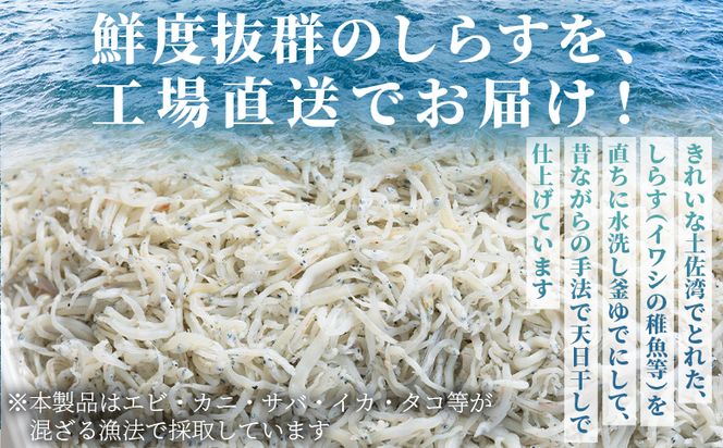 【冷蔵】釜あげしらす(ちりめん) 約1kg - 国産 ちりめん しらす シラス 稚魚 魚介 魚 海産物 天日干し 釜茹で ドロメ サラダ 和え物 アレンジ 料理 ご飯のお供 三浦屋海産 高知県 香南市 冷蔵 mu-0008