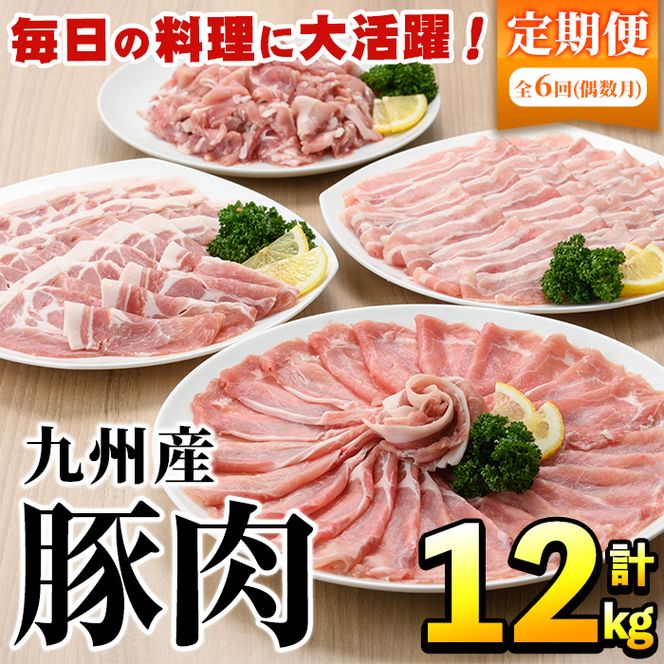 ＜定期便・全6回(偶数月)＞豚肉詰め合わせ(計12kg・1パック250g) 国産 九州産 小分け 個包装 真空パック 定期便 鍋 冷凍配送 ぶた肉 ポーク セット 詰め合わせ ロースしゃぶしゃぶ 肩ロース生姜焼き 豚バラスライス こま切れ【三九】akn006-15