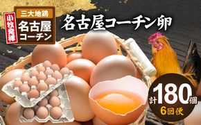 【6回便】名古屋コーチン卵(30個入り)×6回（計180個） [006K03-T]