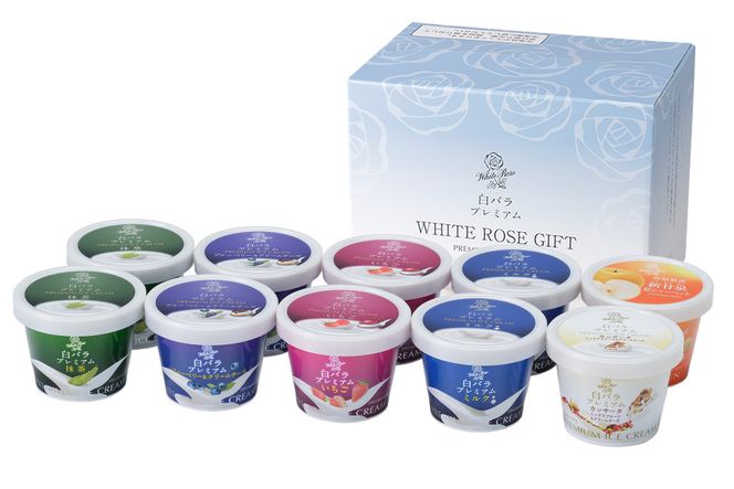 1080.2025 【定期便】大山乳業の３回お届けセット 313726_AH022