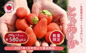 【先行予約】いちご 厳選！さくら市産 とちあいか（290g×2パック） ※2027年1月～発送