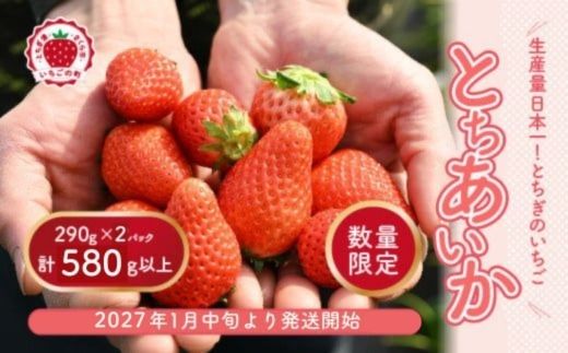 【先行予約】いちご 厳選！さくら市産 とちあいか（290g×2パック） ※2027年1月～発送