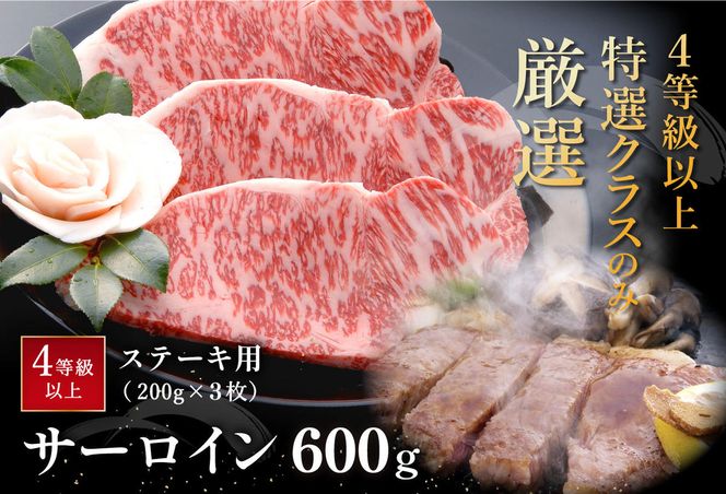 【４等級以上の未経産牝牛限定】近江牛サーロインステーキ【600ｇ（200ｇ×3枚）】【AF04W】