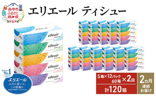 【2ヵ月連続お届け・計120箱】エリエール ティシュー 180組5箱 12パック ティッシュペーパー 箱ティッシュ ボックスティッシュ 紙 まとめ買い 防災 常備品 備蓄品 消耗品 日用品 生活必需品 送料無料 赤平市