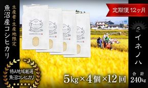 ＜定期便・全12回＞【令和7年産】魚沼産コシヒカリ「イネノハ 」精米(5kg×4)×12回 お米 白米 ご飯 産地直送 ミネラル 栄養分 こだわり 人気 新鮮 