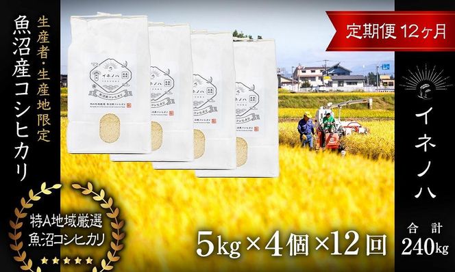 ＜定期便・全12回＞【令和7年産】魚沼産コシヒカリ「イネノハ 」精米(5kg×4)×12回 お米 白米 ご飯 産地直送 ミネラル 栄養分 こだわり 人気 新鮮 