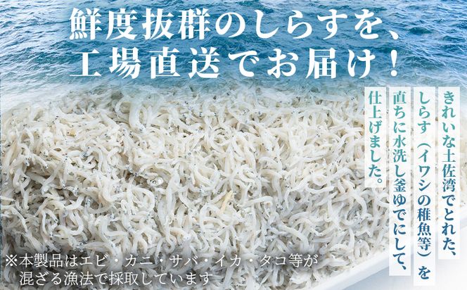 【冷蔵】釜出ししらす(ちりめん) 約500g - 国産 ちりめん しらす シラス 稚魚 魚介 魚 海産物 釜茹で ドロメ サラダ 和え物 アレンジ 料理 ご飯のお供 三浦屋海産 高知県 香南市 冷蔵 mu-0009