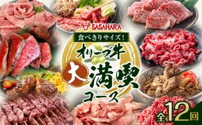 【全12回】食べきりサイズ！オリーブ牛の大満喫コース 372013_HM241