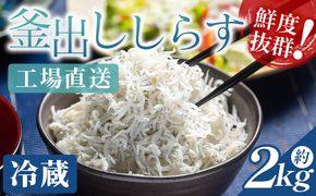 【冷蔵】釜出ししらす(ちりめん) 約2kg - 国産 ちりめん しらす シラス 稚魚 魚介 魚 海産物 釜茹で ドロメ サラダ 和え物 アレンジ 料理 ご飯のお供 三浦屋海産 高知県 香南市 冷蔵 mu-0011