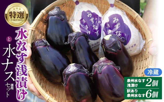 005A058 特選 無添加 水なす漬け 徳用水ナス セット【食べ比べ 新鮮