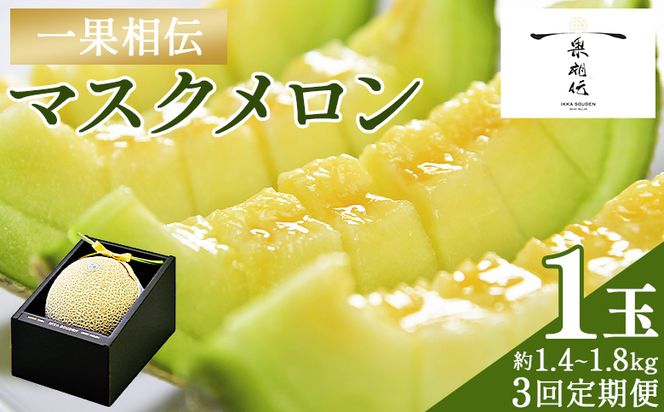 ymszyRցzʑ`}XN 1ʓ- ߂  ʕ  t[c p i 蕨 Mtg    j j Yn VN Ĕ_ m s 퉷 Wtn-0040