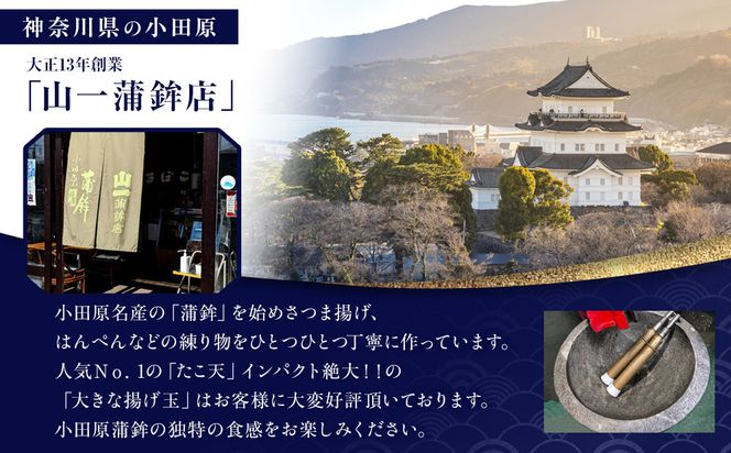 《小田原市 山一蒲鉾店》小田原名産 蒲鉾(白)1本 焼き蒲鉾1本 贈答品 自宅用 【 神奈川県 小田原市 】 142069_GK001