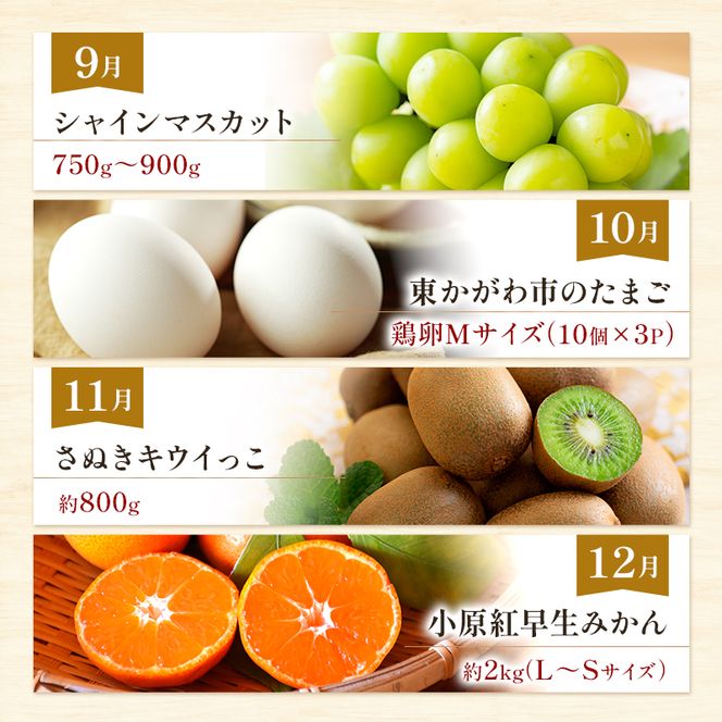 東かがわ市ちょこっと定期便(12回) みかん いちご 讃岐うどん アスパラ トマト メロン コーン 豚肉 シャインマスカット 卵 キウイ 黒毛和牛 香川
