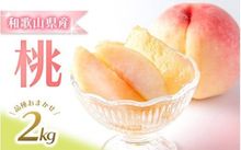 【先行予約】和歌山県産の美味しい桃 約2kg （6～9玉入り）【2024年6月中旬頃～8月中旬頃順次発送予定】　　　　　　　　　　　　　寄付金額15,000円