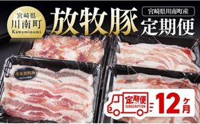 豚肉 【12ヶ月定期便】宮崎県川南町産豚肉　放牧豚定期便 【 豚 肉 豚肉 国産 九州産 宮崎県産 川南町 加工品 セット 送料無料 】[C08108t12]