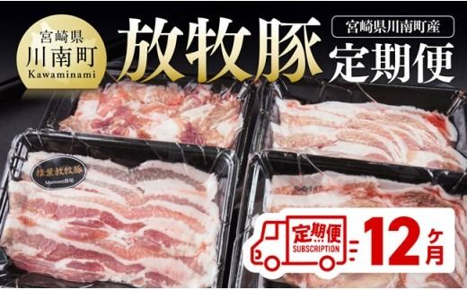 豚肉 【12ヶ月定期便】宮崎県川南町産豚肉　放牧豚定期便 【 豚 肉 豚肉 国産 九州産 宮崎県産 川南町 加工品 セット 送料無料 】[C08108t12]