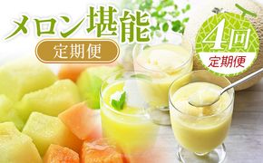 【４回定期便】メロン堪能定期便 - 国産 マスクメロン 完熟 赤肉 青肉 家庭用 フルーツ 果物 ピューレ シャーベット 飲み物 飲料 フルーツジュース 篤農 常温 冷凍 Wtn-0042