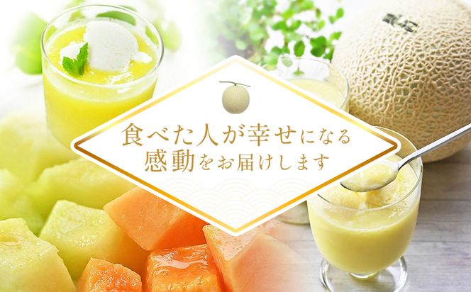 【12回定期便】メロン堪能定期便 国産 マスクメロン 完熟 赤肉 青肉 家庭用 フルーツ 果物 ピューレ シャーベット 飲み物 飲料 フルーツジュース 篤農 常温 冷凍 Wtn-0044