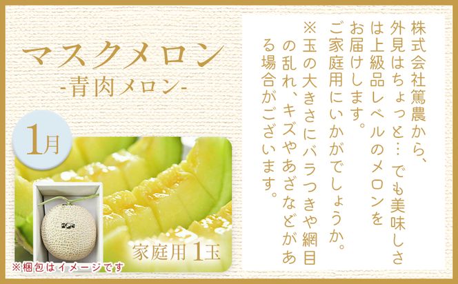 【４回定期便】メロン堪能定期便 - 国産 マスクメロン 完熟 赤肉 青肉 家庭用 フルーツ 果物 ピューレ シャーベット 飲み物 飲料 フルーツジュース 篤農 常温 冷凍 Wtn-0042