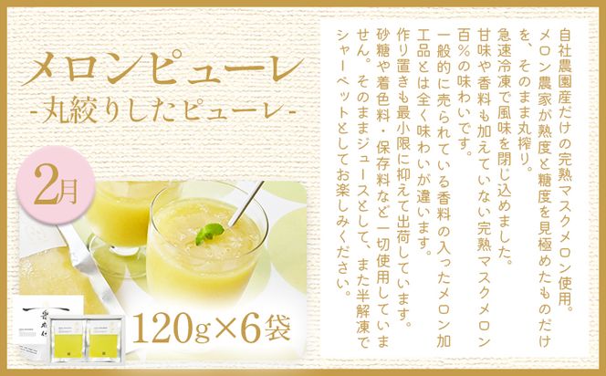 【４回定期便】メロン堪能定期便 - 国産 マスクメロン 完熟 赤肉 青肉 家庭用 フルーツ 果物 ピューレ シャーベット 飲み物 飲料 フルーツジュース 篤農 常温 冷凍 Wtn-0042