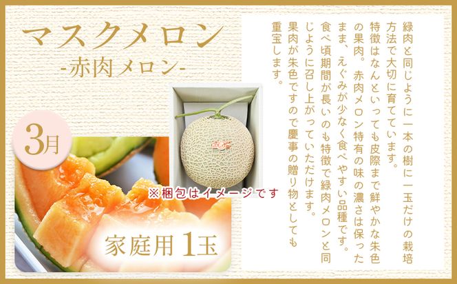 【４回定期便】メロン堪能定期便 - 国産 マスクメロン 完熟 赤肉 青肉 家庭用 フルーツ 果物 ピューレ シャーベット 飲み物 飲料 フルーツジュース 篤農 常温 冷凍 Wtn-0042