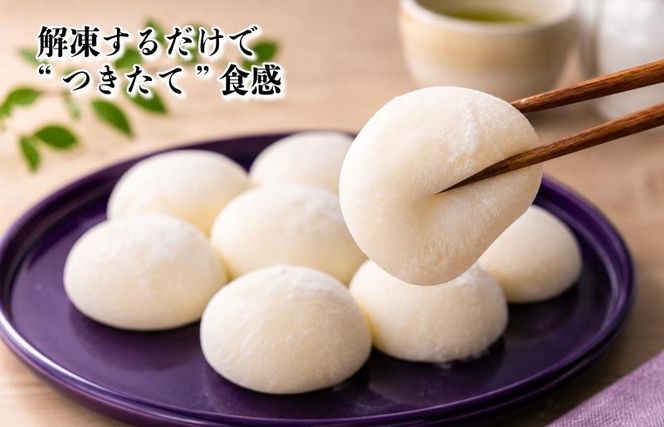 099H4619 【無添加】老舗職人の杵つき生丸餅（白）約500g 【小分け 50g×10個 解凍するだけで“つきたて”の粘りと香り】
