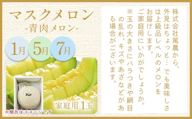 【８回定期便】メロン堪能定期便 国産 マスクメロン 完熟 赤肉 青肉 家庭用 フルーツ 果物 ピューレ シャーベット 飲み物 飲料 フルーツジュース 篤農 常温 冷凍 Wtn-0043