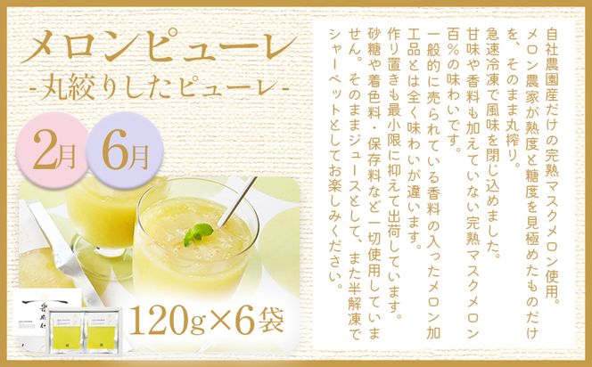 【８回定期便】メロン堪能定期便 国産 マスクメロン 完熟 赤肉 青肉 家庭用 フルーツ 果物 ピューレ シャーベット 飲み物 飲料 フルーツジュース 篤農 常温 冷凍 Wtn-0043