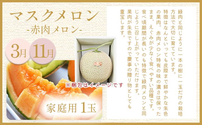 【８回定期便】メロン堪能定期便 国産 マスクメロン 完熟 赤肉 青肉 家庭用 フルーツ 果物 ピューレ シャーベット 飲み物 飲料 フルーツジュース 篤農 常温 冷凍 Wtn-0043
