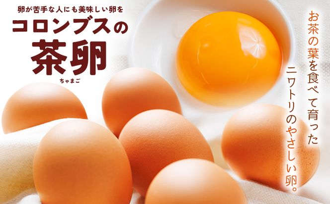 たまご コロンブスの茶卵  10個入×6P 卵 生卵 茶卵 濃厚 卵黄 卵白 生臭みなし 透明感 卵かけご飯 たまご 玉子 朝ごはん オムライス 鶏卵 国産 kl-0005