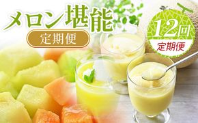 【12回定期便】メロン堪能定期便 国産 マスクメロン 完熟 赤肉 青肉 家庭用 フルーツ 果物 ピューレ シャーベット 飲み物 飲料 フルーツジュース 篤農 常温 冷凍 Wtn-0044