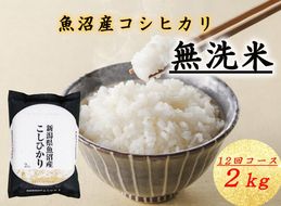 T-10【令和7年産 頒布会】無洗米 魚沼産コシヒカリ 2kg×全12 米 コメ こしひかり 精米 ブランド米 お取り寄せ 十日町市