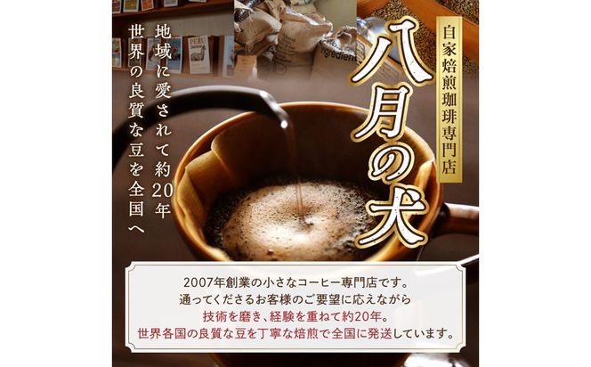 【栽培期間中農薬不使用】自家焙煎コーヒー豆 コロンビア シエラネバダ 500g（250g×2） 約50杯分 小分け　豆・粉 選べる　HA00026