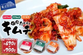 本場韓国人の作るキムチ！田家たむらのキムチセット 本場 手作り 国産野菜 白菜 本格発酵キムチ 韓国キムチ ヤンニョム 漬け物 唐辛子 浅漬け 発酵食品 おかず 富士山 雪解け水 本場韓国人の作るキムチ