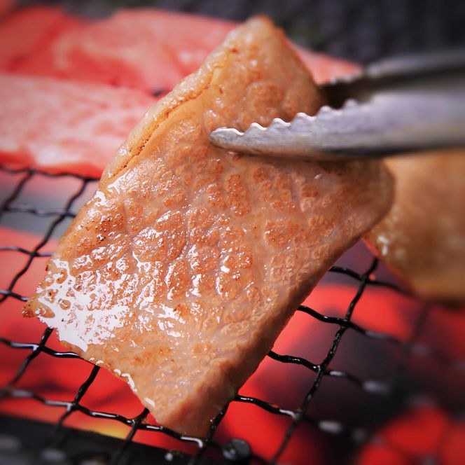  【冷蔵・年６回お届け】特選 黒田庄和牛ロースプレミアムセット（焼肉・すき焼き・しゃぶしゃぶ・ステーキから選べます！） tokusan-56