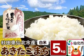 【白米】令和7年産 あきたこまち 5kg 米 お米 こめ 精米 秋田県 仙北市産|02_kwm-010501