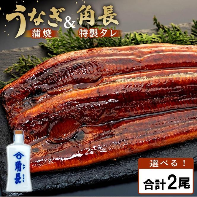 父の日までにお届け 【有田川町×湯浅町】うなぎ蒲焼2本＆角長特製蒲焼タレ1本セット Y007-001