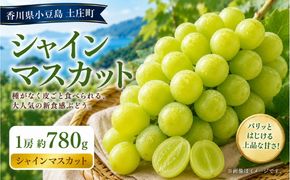 シャインマスカット  1房 約780g マスカット フルーツ 果物 香川県 土庄町