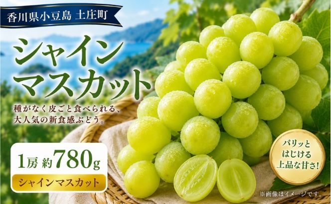 シャインマスカット  1房 約780g マスカット フルーツ 果物 香川県 土庄町