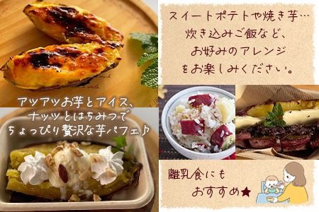 ※2024年度終了※＜数量限定！ 国富町産 熟成シルクスイート 約5kg＞翌月末迄に順次出荷【a0610_mf】