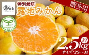 【特別栽培みかん】【2026年10月以降順次配送分】ふじ農園の露地みかん 贈答用 2.5kg (2S～M) - みかん 温州みかん 国産 蜜柑 ミカン 柑橘 果物 フルーツ 贈答 プレゼント ギフト 贈り物 fn-0009