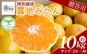 ふじ農園の露地みかん 贈答用 10kg (2S～M) - 国産 蜜柑 ミカン 柑橘 果物 フルーツ 贈答 プレゼント ギフト 贈り物 ふじ農園 高知県 香南市 常温 fn-0003