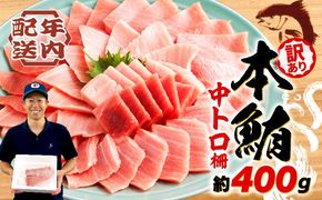 【2025年12月発送】 訳あり 本マグロ 中とろ 刺身用 約400g 不定型柵 マグロ トロ 鮪 海鮮 晩酌 冷凍 刺し身 まぐろ さしみ 柵 皮付き 海鮮丼 人気 小分け 中トロ お刺身 マグロ 漬け ネギトロ 赤身 冷凍 生食用 静岡 藤枝 コスパ 人気 まぐろ おいしい まぐろ 鮪