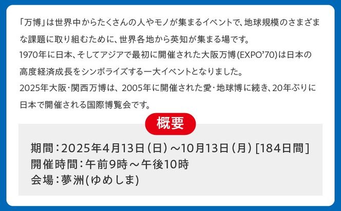 099V069 【平日券】2025年日本国際博覧会 大阪・関西万博 入場チケット（大人1名分）【EXPO 2025 大阪 関西 日本 万博 ばんぱく 夢洲 早期購入割引 前売り 期間限定】