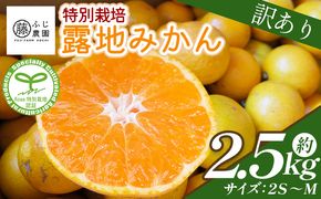 ふじ農園の露地みかん 訳あり品 2.5kg (2S～M) - 国産 蜜柑 ミカン 柑橘 果物 フルーツ 訳アリ ご家庭用 家庭用 自宅用 ふじ農園 高知県 香南市 常温 fn-0004